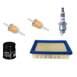 Tune Up Kit Air, Oil and Fuel Filters DS 4-Cycle Engines 101611003 1015426